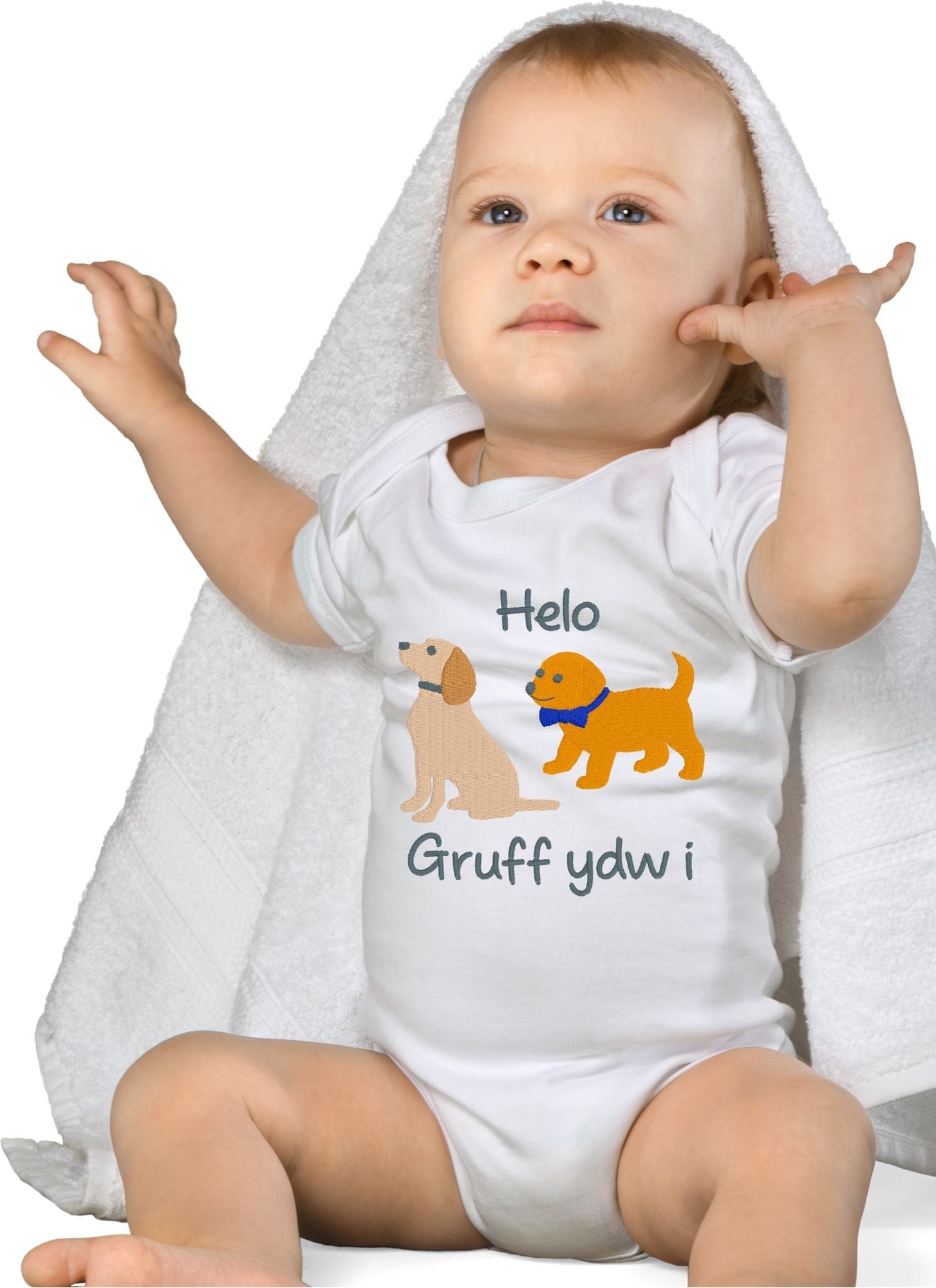 BRO-071 Personalised embroidered two little dogs with the Welsh text & name of baby on Babygrow